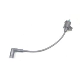 Bobine Peugeot Ludix 50 2005 - 2007 / 209368