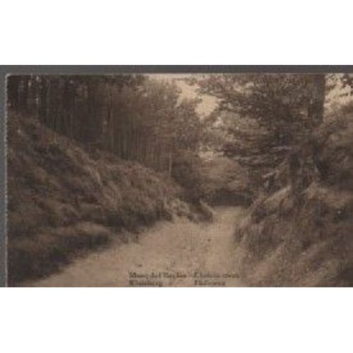 Cpa - Belgique - Mont De L'Enclus - Chemin Creux