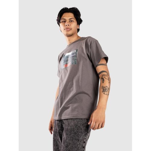 Hockey Skateboards Farm Kids T-Shirt Gris