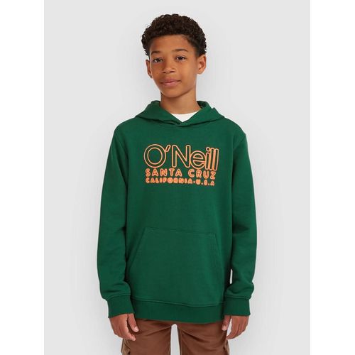 O'neill Essentials Kids Sweat À Capuche Bleu