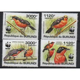 Burundi Timbres Les Oiseaux 2011 Wwf