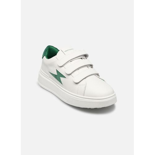Baskets Vanessa Wu Bk2672 Pour Femme - 36
