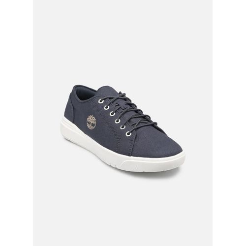 Baskets Timberland Seneca Bay Oxford Pour