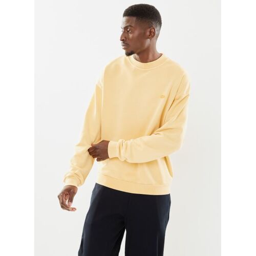 Vêtements Lacoste Sweatshirt Délavé Sh7506 Pour Accessoires