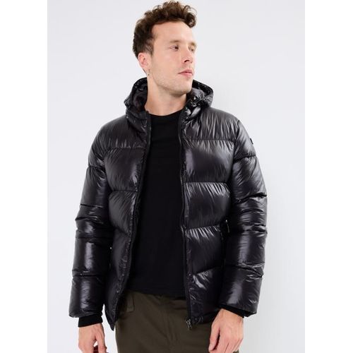 Vêtements Schott Doudoune Brillante A Capuche Schott Pour Accessoires