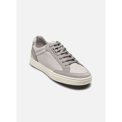 Chaussures Baskets Geox U Baltmoore Pour