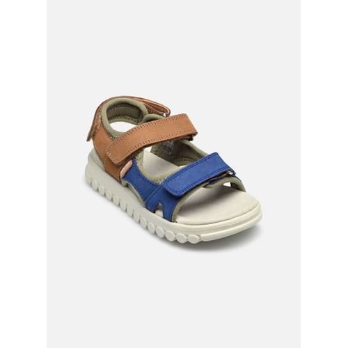 Sandales Et Nu Pieds Shoo Pom Rolly Boy Scratch Pour Enfant