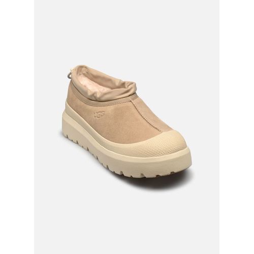 Bottines Et Boots Ugg M Tasman Weather Hybrid Pour