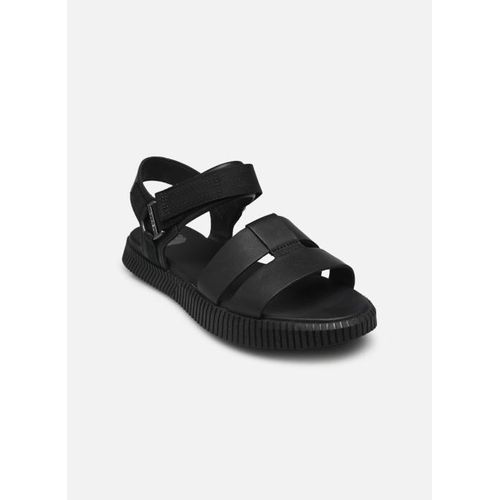 Chaussures Sandales Et Nuspieds Sorel Ona Ave Ankle Strap Flat Sandal Pour