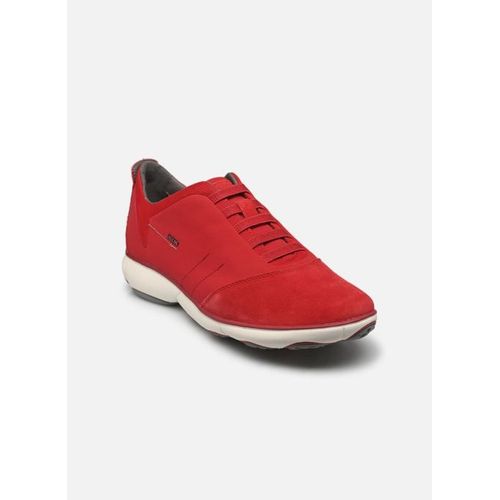 Chaussures Baskets Geox U Nebula Pour