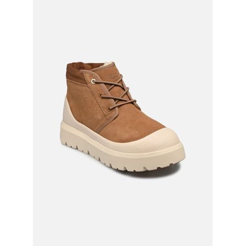 Bottines Et Boots Ugg M Neumel Weather Hybrid Pour