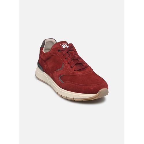 Baskets Pius Gabor Cover Pour Homme