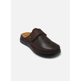 Sandales Et Nuspieds Scholl Klaus Strap Pour