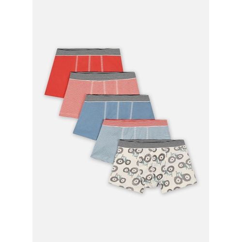 Vêtements Petit Bateau Lot De Boxers X5 Pour Accessoires