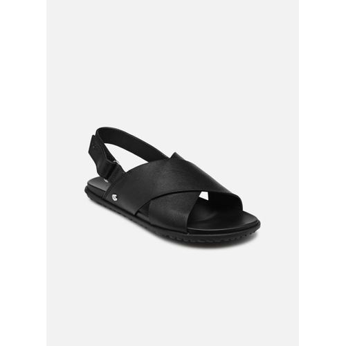 Sandales Et Nu-Pieds Ugg W Solivan Slingback Pour Femme - 36