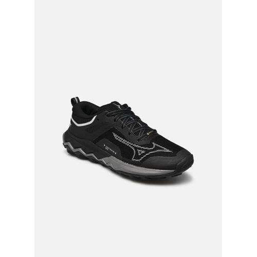 Chaussures De Sport Mizuno Shoe Wave Ibuki Gorestex Wos Pour