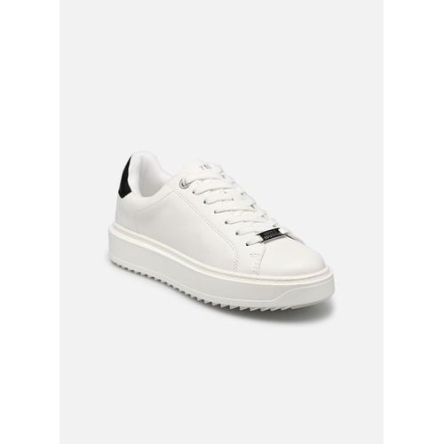 Baskets Steve Madden Catcher Pour