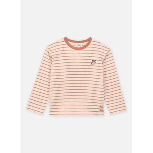 Vêtements Liewood Tyler Stripe Longsleeve T-Shirt Pour Accessoires