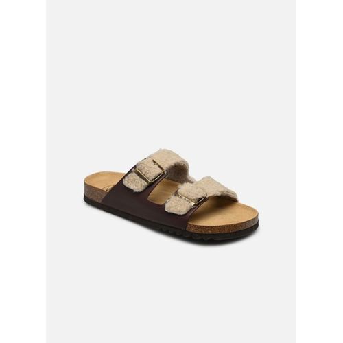 Chaussons Scholl Julien Collection Pour