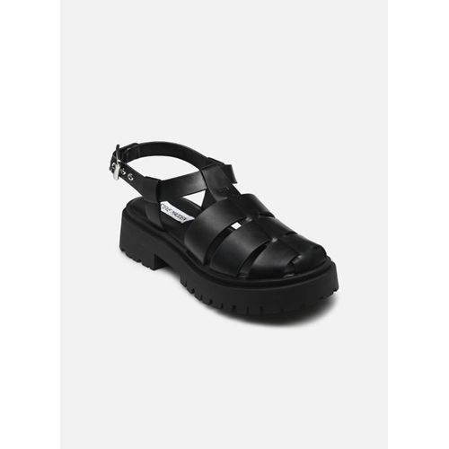 Sandales Et Nuspieds Steve Madden Market Pour