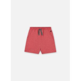 Vêtements Petit Bateau Short Flechir Pour Accessoires