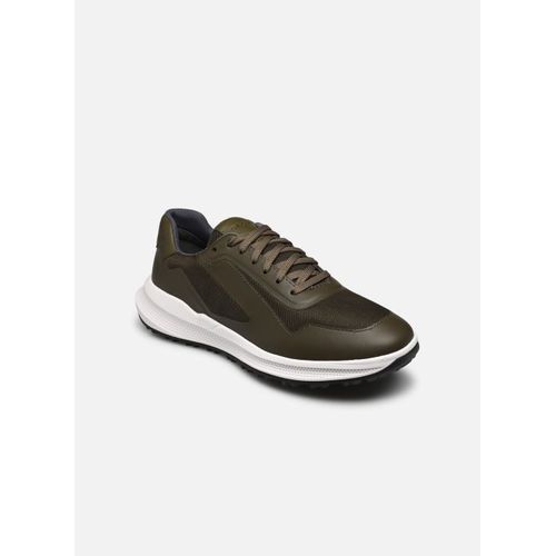 Chaussures Baskets Geox U Pg1x Pour
