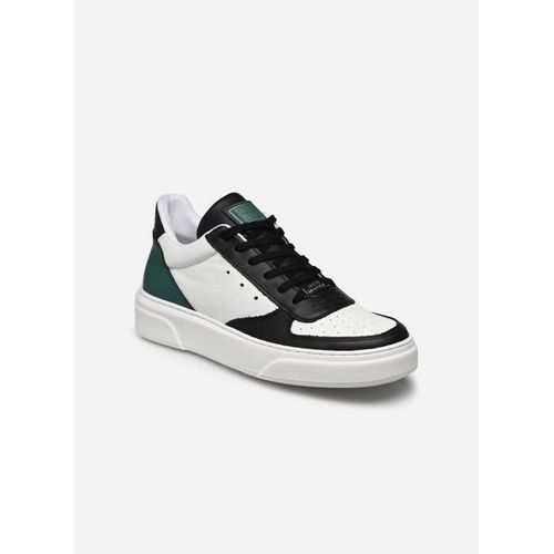 Baskets Steve Madden Brent Pour