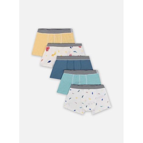 Vêtements Petit Bateau 5 Boxers A074x00 Pour Accessoires