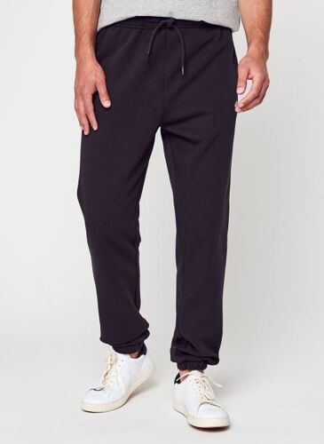 Vêtements Dickies Mapleton Sweatpant Pour Accessoires