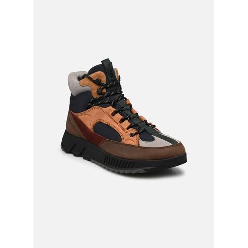 Chaussures Baskets Sorel Mac Hill Lite Trace Wp Pour