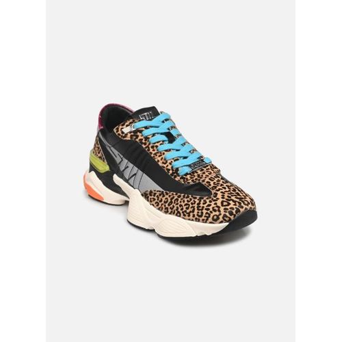 Baskets Steve Madden Setbackse Pour