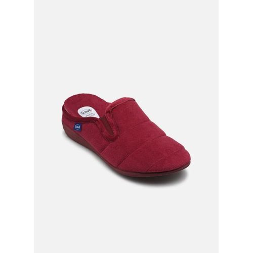 Chaussons Scholl Cloudy Ela Comfort Pour