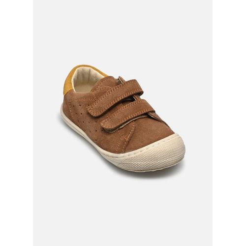 Baskets Naturino Cocoon Low 3 Vl Pour Enfant