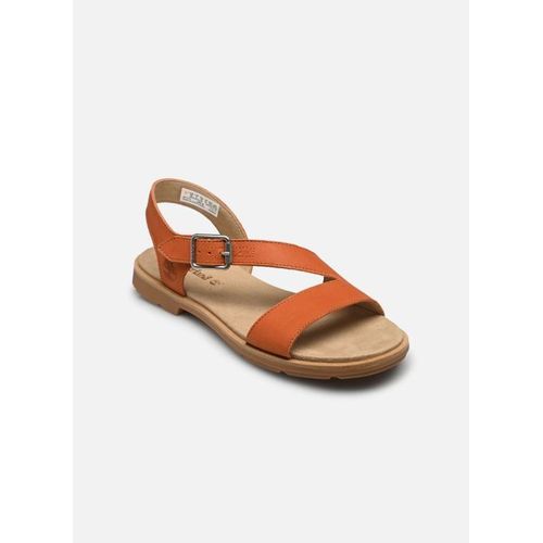 Sandales Et Nuspieds Timberland Clby Backstrap Sandal Mdorn Pour