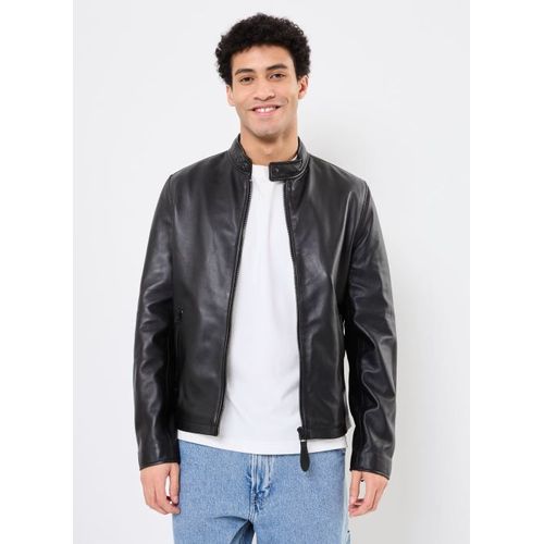 Vêtements Schott Blouson Motard Schott Pour Accessoires