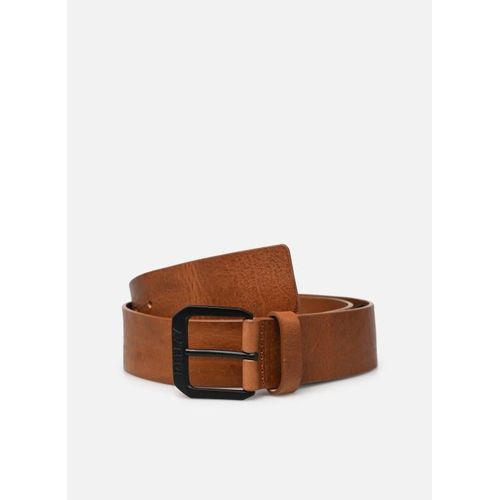 Ceintures Replay Ceinture Boucle Logo Replay Pour Accessoires