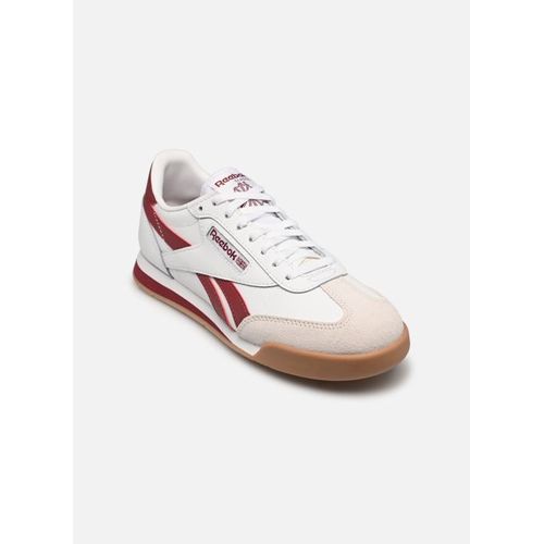 Chaussures Baskets Reebok Campio Xt W Pour