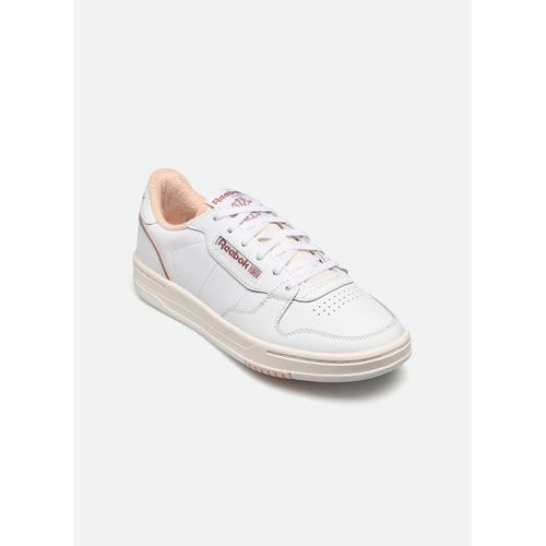 Chaussures Baskets Reebok Phase Court W Pour