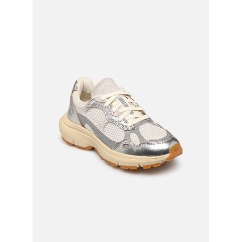 Baskets Timberland Hazel Lane Low Pour