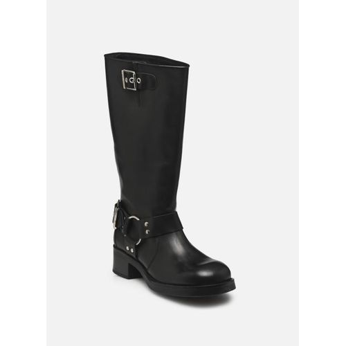 Bottines Et Boots Steve Madden Beau Pour Femme