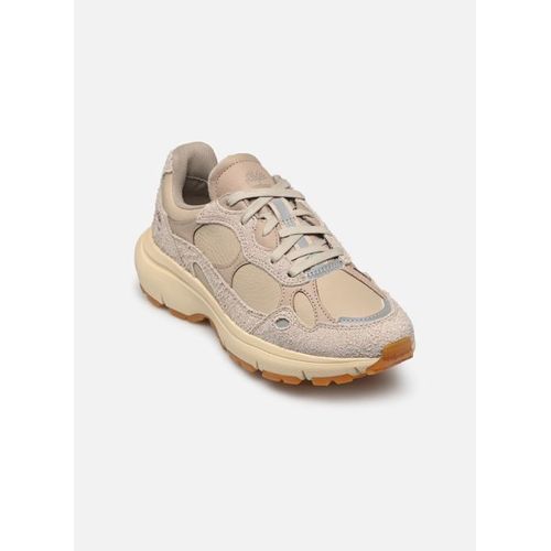 Baskets Timberland Hazel Lane Low Pour