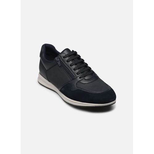 Chaussures Baskets Geox U Avery A Pour