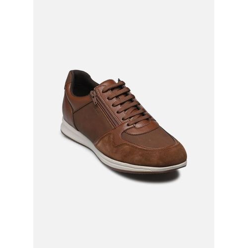 Chaussures Baskets Geox U Avery A Pour