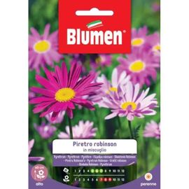 Semi Piretro Robinson Mix Blumen