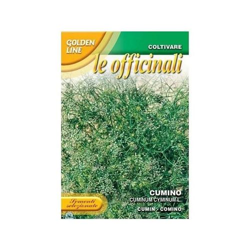 Sementi Di Cumino Orto Officinali Giardino Semi Seeds