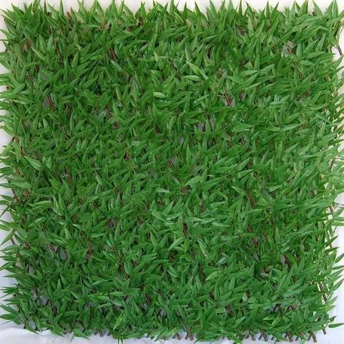 Tenax Divy 3d X-Tens Bamboo 1,00x2 M Vert,Treillis Extensible En Bois Naturel Recouvert De Feuilles De Bambou