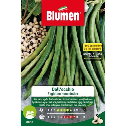 Semi Di Fagiolini Nani Dall'occhio Blumen