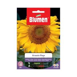 SEMI GIRASOLE MAYA BLUMEN SEMENTI FIORI