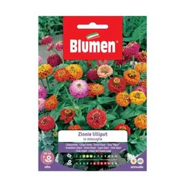 SEMI ZINNIA LILLIPUT MIX BLUMEN SEMENTI FIORI