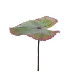 Foglia Loto Decorativa 18x82cm Verde Decoro Casa Giardino